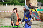 ampliar